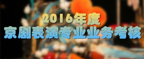 操爽爽B国家京剧院2016年度京剧表演专业业务考...